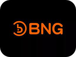 BNG電子